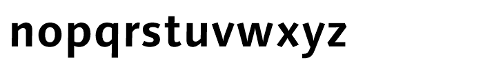 Syntax Next Bold Font LOWERCASE
