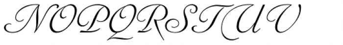 Sylphe Pro Italic Font UPPERCASE
