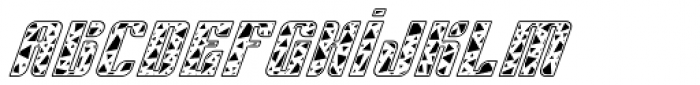 Sympathetic 14 Triangle Italic Font LOWERCASE