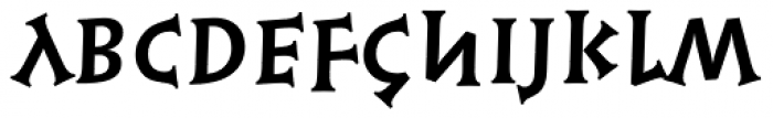 Syntax Lapidar Serif Display Bold Font LOWERCASE