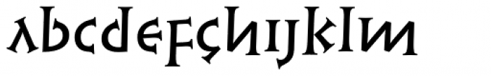 Syntax Lapidar Serif Text Medium Font LOWERCASE