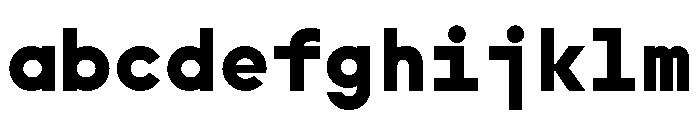 SymbolMono Bold FONT