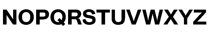 SyndicatGrotesk Bold Font UPPERCASE