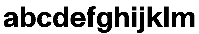SyndicatGrotesk Bold FONT