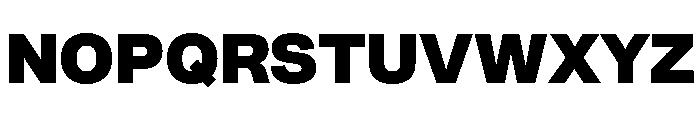 SyndicatGrotesk Heavy Font UPPERCASE