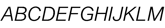 SyndicatGrotesk LightItalic Font UPPERCASE