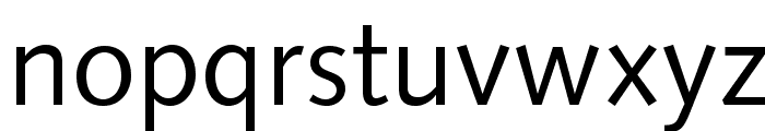 SyntaxLTStd-Roman Font LOWERCASE