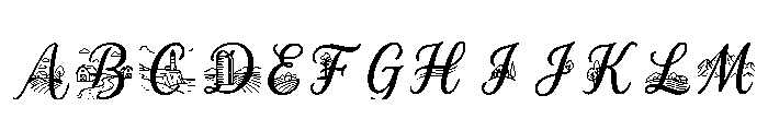 Taher Regular FONT
