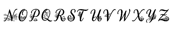 Taher Regular Font LOWERCASE
