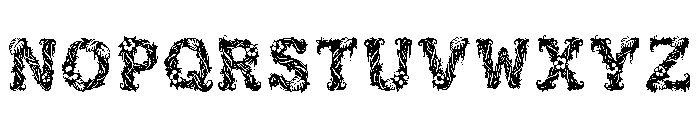 Tahlia Regular Font UPPERCASE