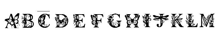 Tahmid Regular Font UPPERCASE