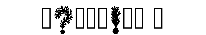 Tanya Regular Font OTHER CHARS