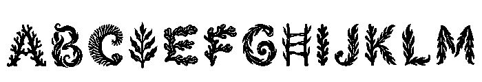 Tanya Regular FONT