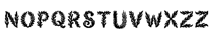 Tanya Regular Font LOWERCASE