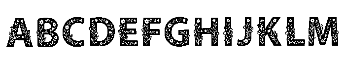 Tapestry_woven Regular FONT