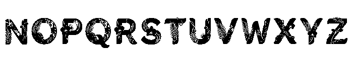 Tavion Regular Font UPPERCASE