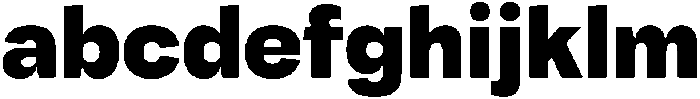 Tatype Neue Black otf (900) FONT