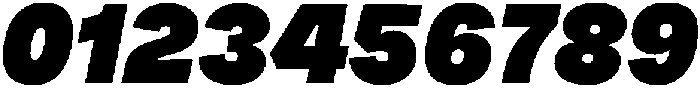 Tatype Neue Extra Black Italic otf (900) Font OTHER CHARS