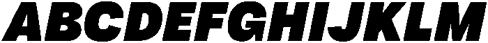 Tatype Neue Extra Black Italic otf (900) Font UPPERCASE