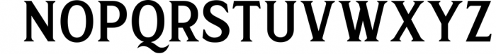 Taylor Julianne - Vintage Serif Font 1 Font LOWERCASE