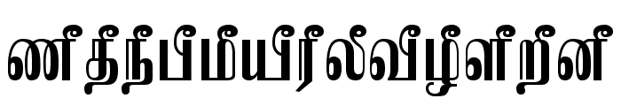 TAM-Kamban Bold Font LOWERCASE