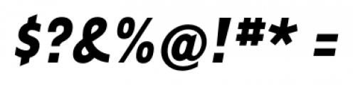Tarzana Narrow Bold Italic Font OTHER CHARS