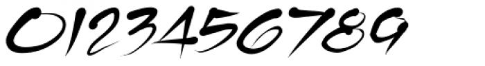 Tamika Italic Font OTHER CHARS