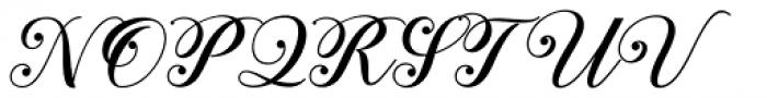 Taranum  Regular Font UPPERCASE
