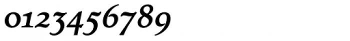 Tarocco OSFOT Bold Italic Font OTHER CHARS
