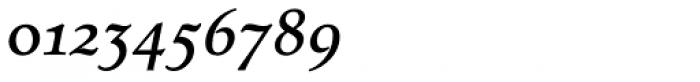 Tarocco OSFOT Medium Italic Font OTHER CHARS