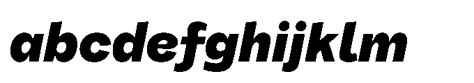 Tatype Neue Black Italic FONT