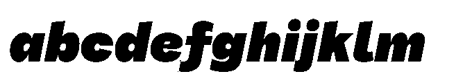Tatype Neue VF Italic Extra Black Italic FONT