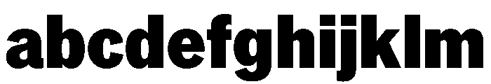 TaurusGrotesk Black FONT