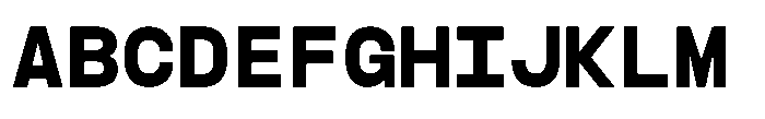 TBJ Felium Mono Bold Font UPPERCASE