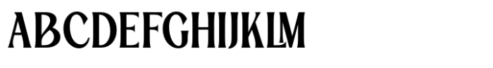 TBJ Palatino 2 Styles Bold Serif Font