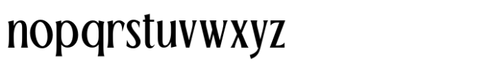 TBJ Palatino 2 Styles Semi Bold Serif Font LOWERCASE