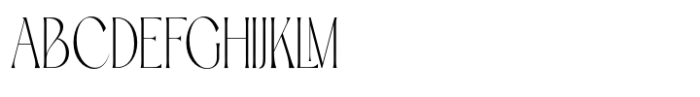 TBJ Palatino 2 Styles Thin Serif Font UPPERCASE