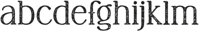 TC Brookleigh Archive Rough Extended Bold otf (700) FONT