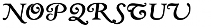 TC Kingsley RR Swash Bold Italic Font UPPERCASE