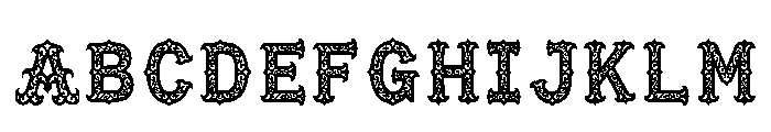 Terek Regular FONT