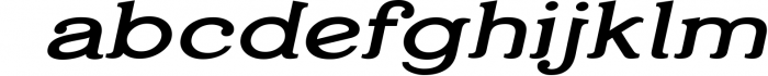 Temporis - Serif Font Family - OTF, TTF 1 Font LOWERCASE