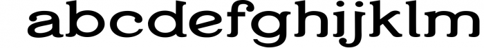 Temporis - Serif Font Family - OTF, TTF 4 Font LOWERCASE