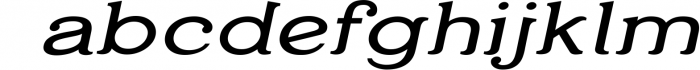 Temporis - Serif Font Family - OTF, TTF 5 Font LOWERCASE