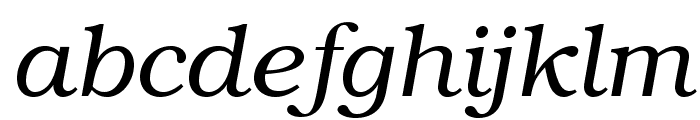 TeXGyreBonum-Italic Font LOWERCASE