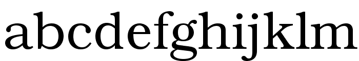 TeXGyreBonum-Regular Font LOWERCASE