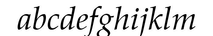TeXGyrePagella-Italic Font LOWERCASE