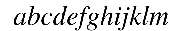 TeXGyreTermes-Italic Font LOWERCASE