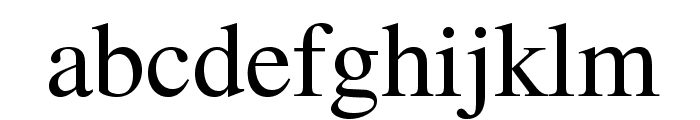 TeXGyreTermes-Regular Font LOWERCASE