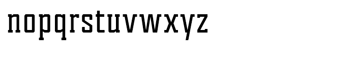 Tecnica Slab Bold Font LOWERCASE