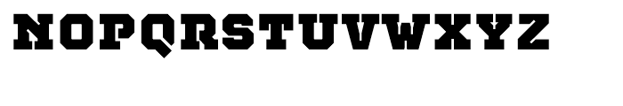 Teco Serif Ultra Font LOWERCASE